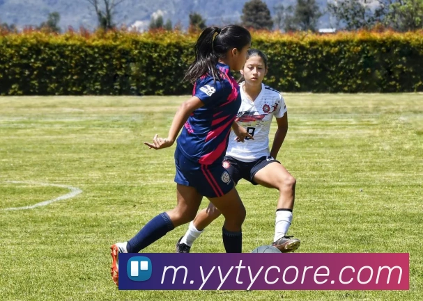 App Interface Preview