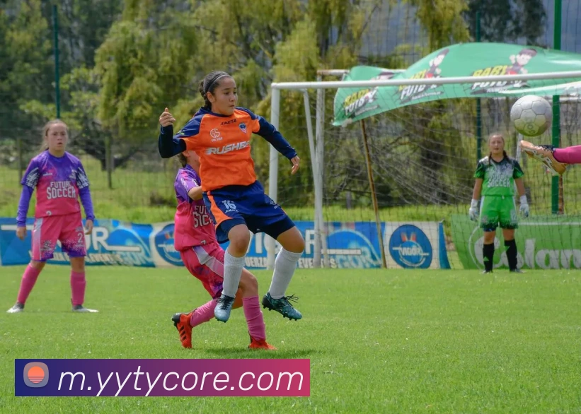 易游体育APP 封面图